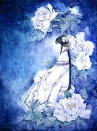 殿下,王妃又醉了