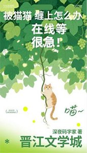 被猫猫缠上怎么办!在线等很急!